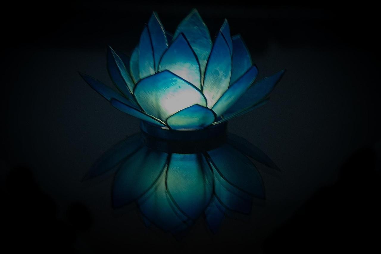 Blue Lotus Apartment Βιέννη Εξωτερικό φωτογραφία